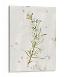 Hierbas De Tierra Antigua Iii - June Erica Vess | Cuadro decorativo de Canvas Lab