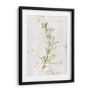Hierbas De Tierra Antigua Iii - June Erica Vess | Cuadro decorativo de Canvas Lab