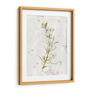 Hierbas De Tierra Antigua Iii - June Erica Vess | Cuadro decorativo de Canvas Lab