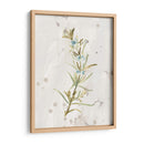 Hierbas De Tierra Antigua Iii - June Erica Vess | Cuadro decorativo de Canvas Lab