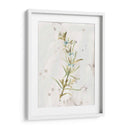 Hierbas De Tierra Antigua Iii - June Erica Vess | Cuadro decorativo de Canvas Lab