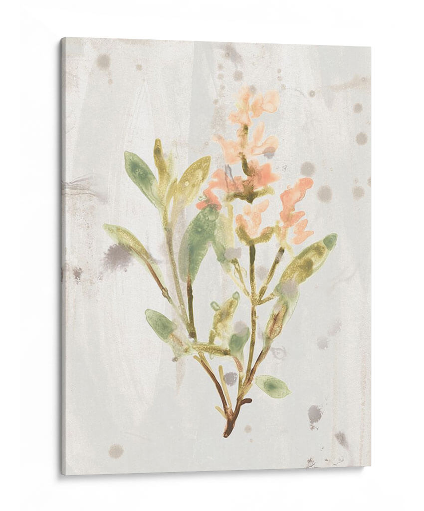 Hierbas De Tierra Antigua Iv - June Erica Vess | Cuadro decorativo de Canvas Lab