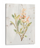 Hierbas De Tierra Antigua Iv - June Erica Vess | Cuadro decorativo de Canvas Lab