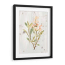 Hierbas De Tierra Antigua Iv - June Erica Vess | Cuadro decorativo de Canvas Lab