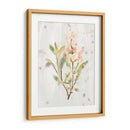Hierbas De Tierra Antigua Iv - June Erica Vess | Cuadro decorativo de Canvas Lab