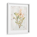 Hierbas De Tierra Antigua Iv - June Erica Vess | Cuadro decorativo de Canvas Lab