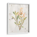 Hierbas De Tierra Antigua Iv - June Erica Vess | Cuadro decorativo de Canvas Lab
