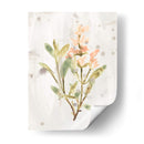 Hierbas De Tierra Antigua Iv - June Erica Vess | Cuadro decorativo de Canvas Lab