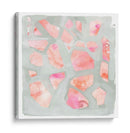 Fragmentos De Sal Rosa I - B. Hoola Van Nooten | Cuadro decorativo de Canvas Lab
