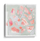 Fragmentos De Sal Rosa Ii - B. Hoola Van Nooten | Cuadro decorativo de Canvas Lab