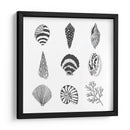 Susurros De Mar I - Melissa Wang | Cuadro decorativo de Canvas Lab