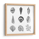 Susurros De Mar I - Melissa Wang | Cuadro decorativo de Canvas Lab