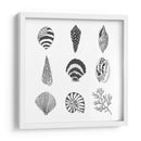 Susurros De Mar I - Melissa Wang | Cuadro decorativo de Canvas Lab