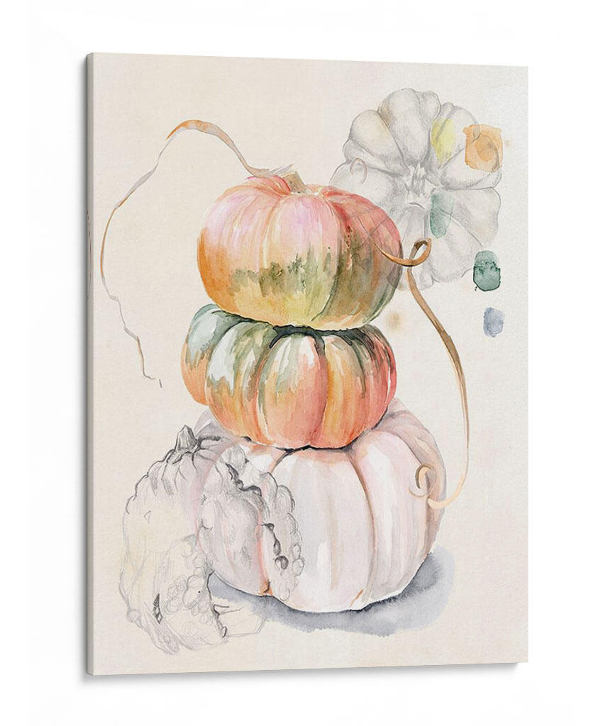 Cosecha De Calabazas I - B. Hoola Van Nooten | Cuadro decorativo de Canvas Lab
