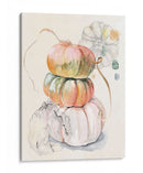 Cosecha De Calabazas I - B. Hoola Van Nooten | Cuadro decorativo de Canvas Lab