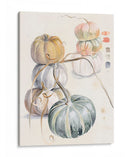 Cosecha De Calabazas Ii - B. Hoola Van Nooten | Cuadro decorativo de Canvas Lab