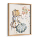 Cosecha De Calabazas Ii - B. Hoola Van Nooten | Cuadro decorativo de Canvas Lab