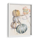 Cosecha De Calabazas Ii - B. Hoola Van Nooten | Cuadro decorativo de Canvas Lab