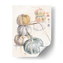 Cosecha De Calabazas Ii - B. Hoola Van Nooten | Cuadro decorativo de Canvas Lab