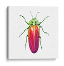 Buggin Fuera Ii - Jennifer Paxton Parker | Cuadro decorativo de Canvas Lab