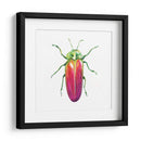 Buggin Fuera Ii - Jennifer Paxton Parker | Cuadro decorativo de Canvas Lab