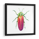 Buggin Fuera Ii - Jennifer Paxton Parker | Cuadro decorativo de Canvas Lab
