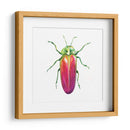 Buggin Fuera Ii - Jennifer Paxton Parker | Cuadro decorativo de Canvas Lab