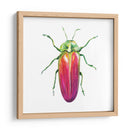 Buggin Fuera Ii - Jennifer Paxton Parker | Cuadro decorativo de Canvas Lab