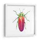 Buggin Fuera Ii - Jennifer Paxton Parker | Cuadro decorativo de Canvas Lab