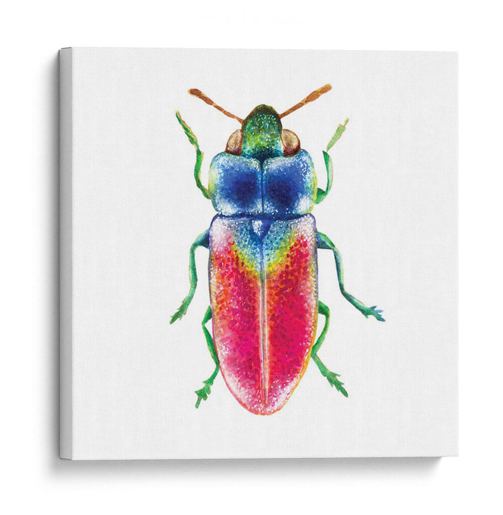 Buggin Fuera Iii - Jennifer Paxton Parker | Cuadro decorativo de Canvas Lab