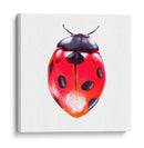 Buggin Fuera Iv - Jennifer Paxton Parker | Cuadro decorativo de Canvas Lab