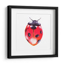 Buggin Fuera Iv - Jennifer Paxton Parker | Cuadro decorativo de Canvas Lab