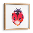 Buggin Fuera Iv - Jennifer Paxton Parker | Cuadro decorativo de Canvas Lab