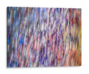 Espíritus Bohemio Ii - Paul McCreery | Cuadro decorativo de Canvas Lab