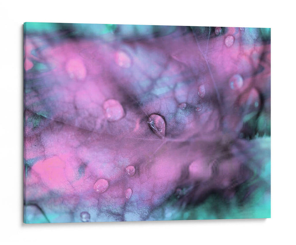 Gotas De Rocío Celestial I - Paul McCreery | Cuadro decorativo de Canvas Lab
