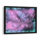 Gotas De Rocío Celestial I - Paul McCreery | Cuadro decorativo de Canvas Lab