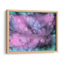 Gotas De Rocío Celestial I - Paul McCreery | Cuadro decorativo de Canvas Lab