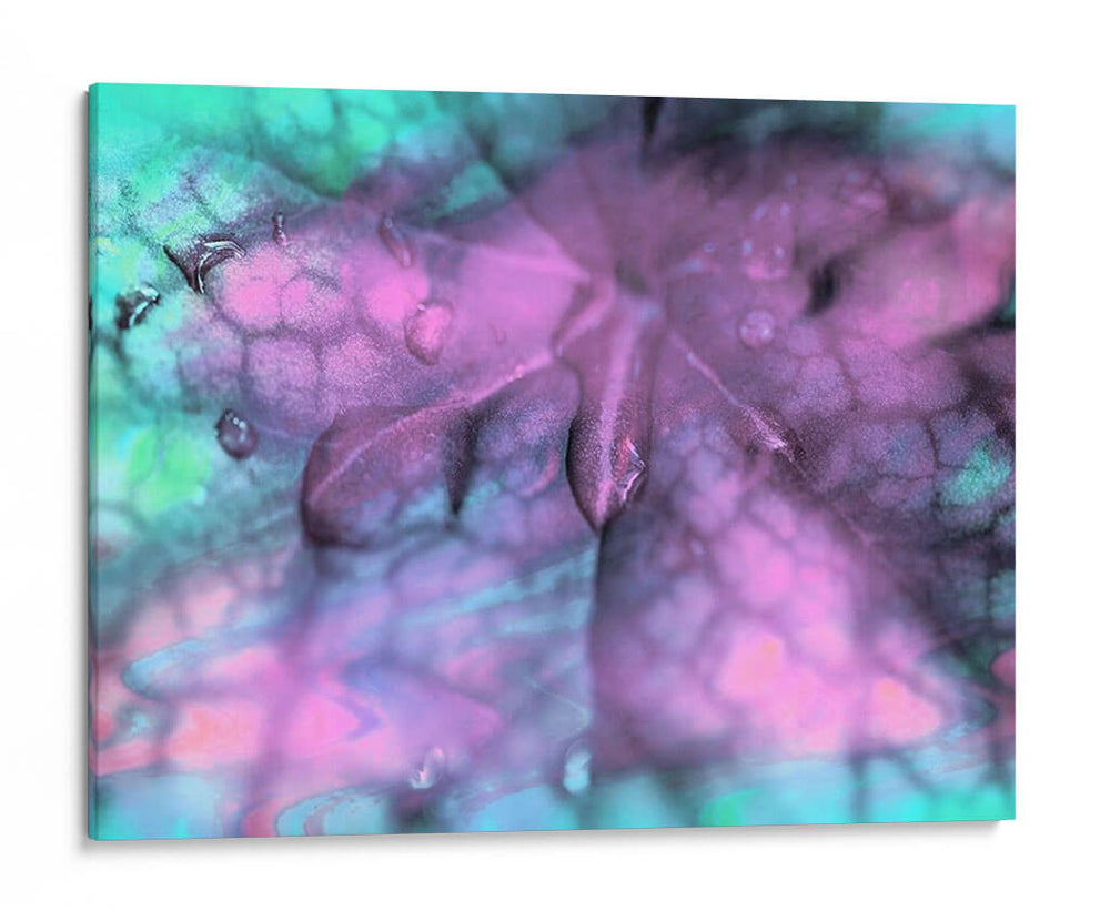 Gotas De Rocío Celestial Ii - Paul McCreery | Cuadro decorativo de Canvas Lab