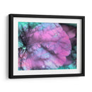 Gotas De Rocío Celestial Iii - Paul McCreery | Cuadro decorativo de Canvas Lab