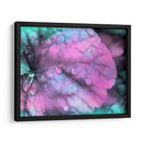 Gotas De Rocío Celestial Iii - Paul McCreery | Cuadro decorativo de Canvas Lab