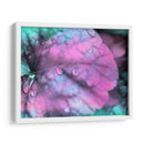 Gotas De Rocío Celestial Iii - Paul McCreery | Cuadro decorativo de Canvas Lab