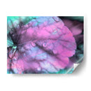 Gotas De Rocío Celestial Iii - Paul McCreery | Cuadro decorativo de Canvas Lab