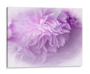 Florales De Ensueño En Violeta Ii - Paul McCreery | Cuadro decorativo de Canvas Lab