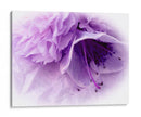 Florales De Ensueño En Violeta Iii - Paul McCreery | Cuadro decorativo de Canvas Lab