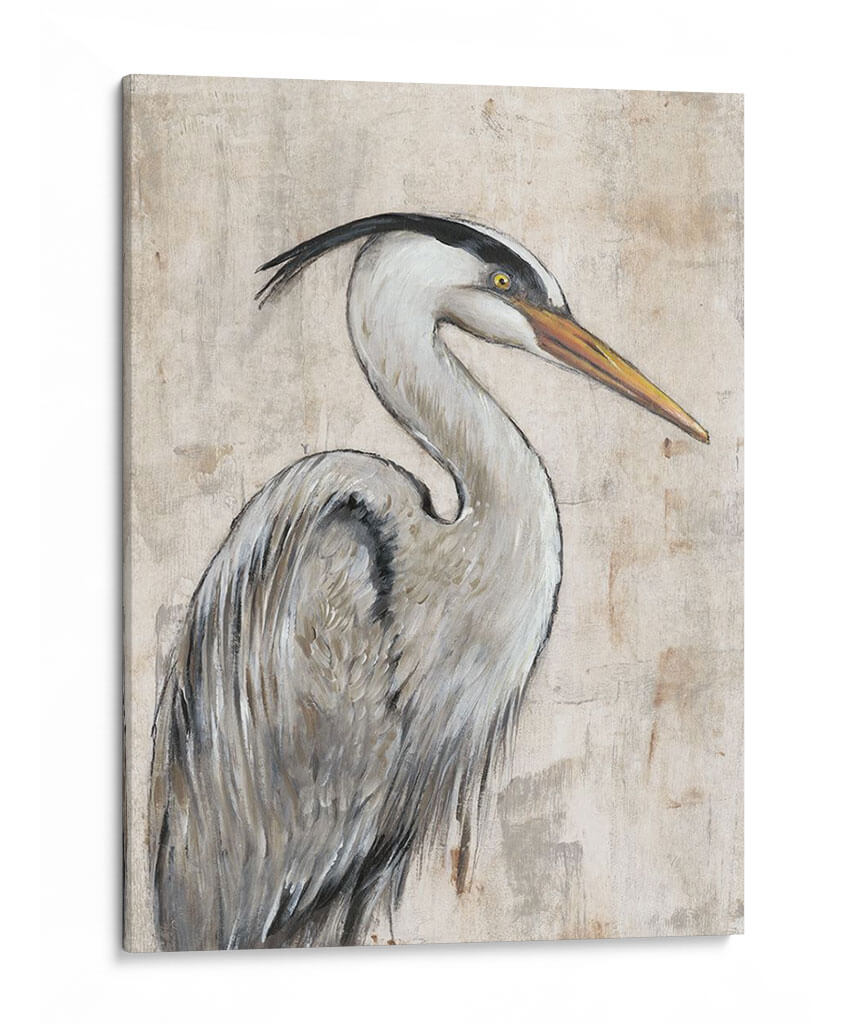 Garza Gris I - Tim OToole | Cuadro decorativo de Canvas Lab