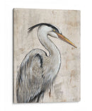 Garza Gris I - Tim OToole | Cuadro decorativo de Canvas Lab