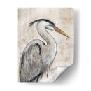 Garza Gris I - Tim OToole | Cuadro decorativo de Canvas Lab