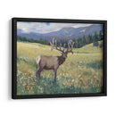 Montaña Rocosa Alces I - Tim OToole | Cuadro decorativo de Canvas Lab