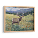 Montaña Rocosa Alces I - Tim OToole | Cuadro decorativo de Canvas Lab