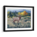 Montaña Rocosa Elk Ii - Tim OToole | Cuadro decorativo de Canvas Lab